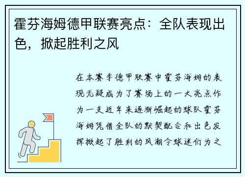 霍芬海姆德甲联赛亮点：全队表现出色，掀起胜利之风