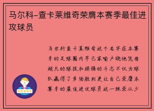 马尔科-查卡莱维奇荣膺本赛季最佳进攻球员